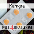 Kamgra 24